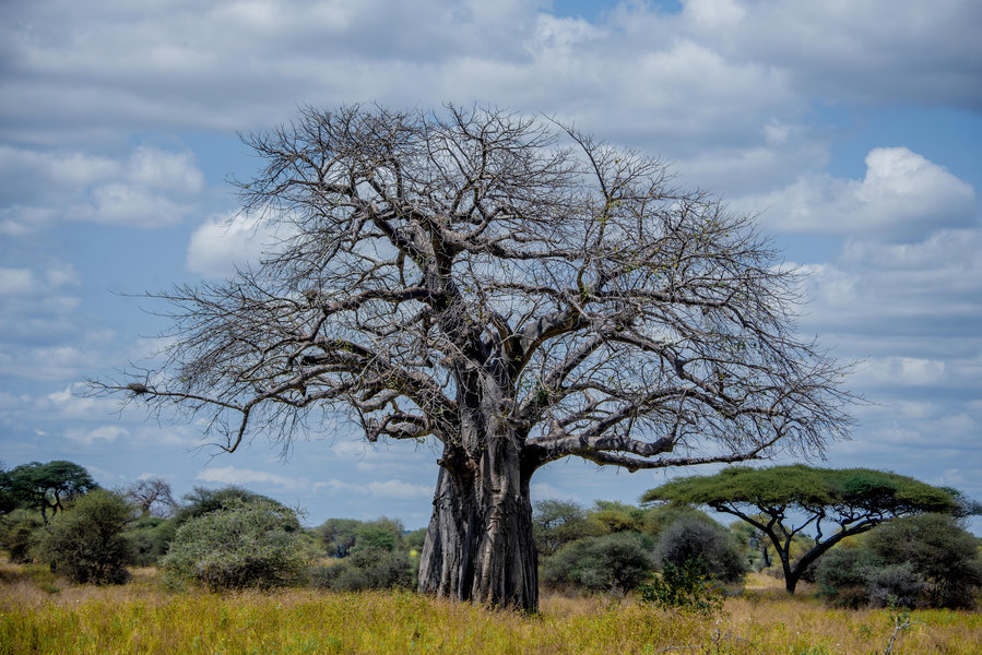 Arusha