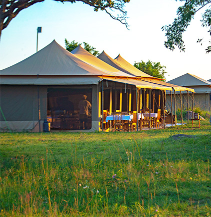 Safari Tented Camp